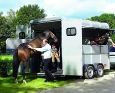 By Boeckmann_horseexperts (Boeckmann_horseexperts) [CC BY-SA 3.0 (http://creativecommons.org/licenses/by-sa/3.0)], via Wikimedia Commons