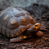 Image par PublicDomainPictures de Pixabay